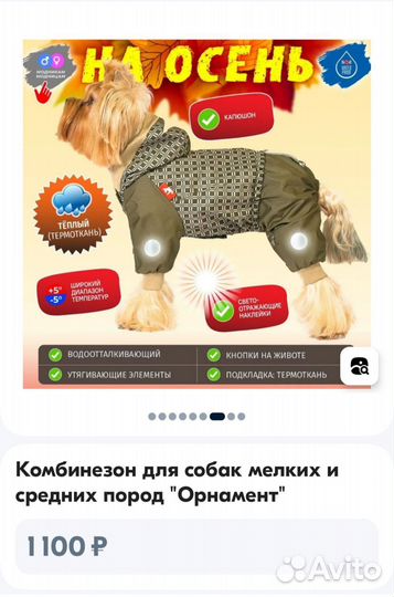 Одежда для собак мелких пород