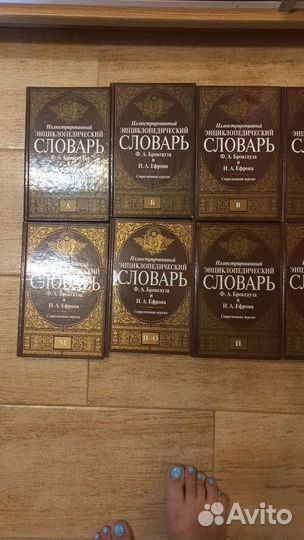 Подарочный иллюстрированный комплект словарей