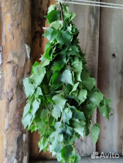 Продам веники