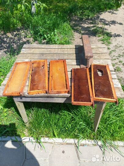 Рамка сушь для пчел