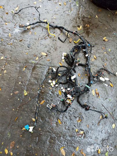 Проводка салонная Kia Ceed ED Сид