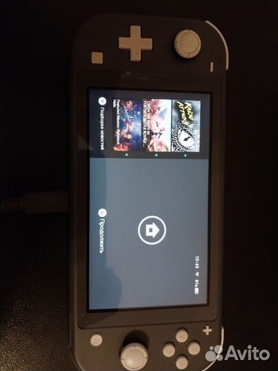 Nintendo switch lite