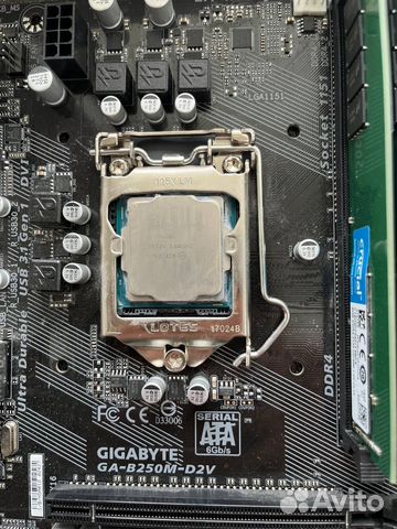 I5 7600k + gigabyte ga b250m d2v купить в Санкт-Петербурге ...