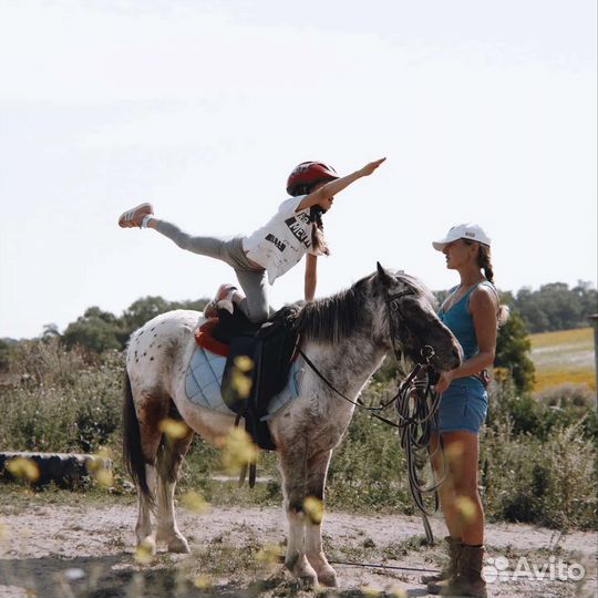 Продам пони