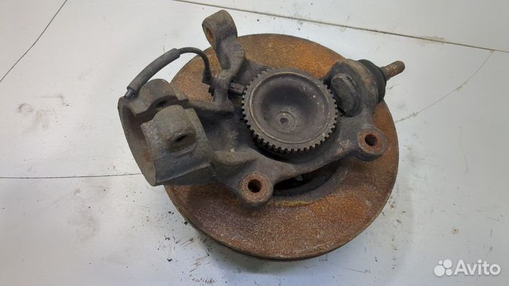 Ступица (кулак, цапфа) Ford Transit, 2011