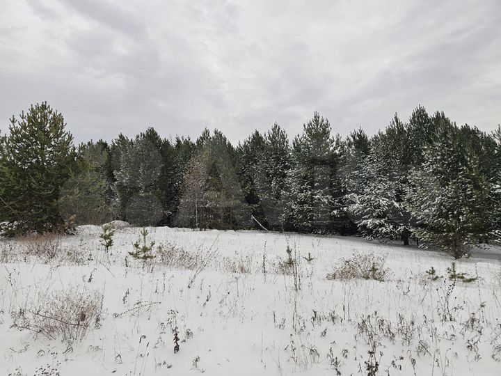 Участок 96 сот. (СНТ, ДНП)