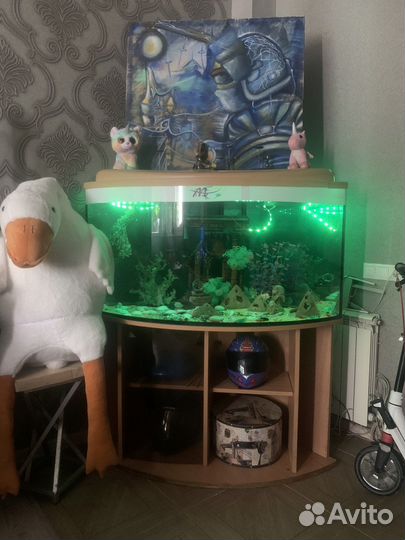 Аквариум