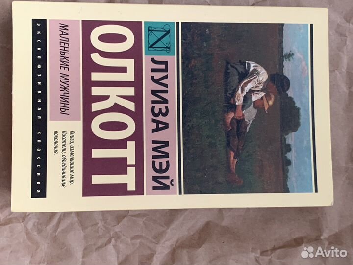 Книга маленькие мужчины