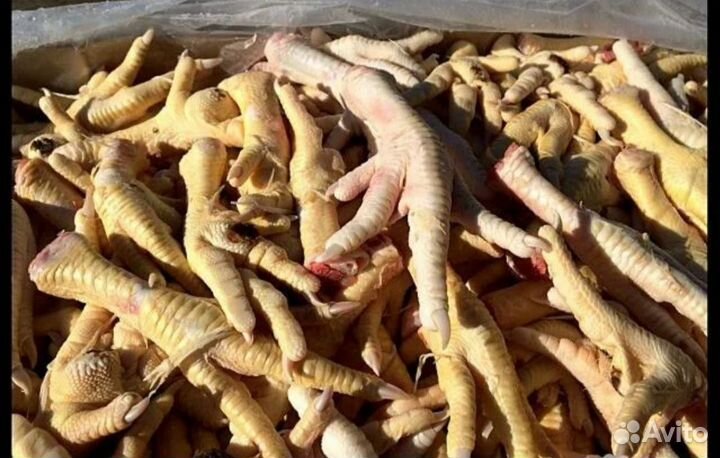 Лапы куриные оптом