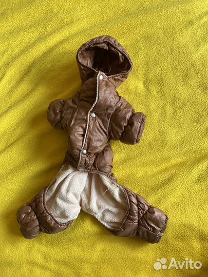 Комбинезон для собаки