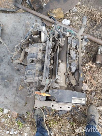 Двигатель Шкода Фабия