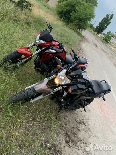 Racer nitro 250