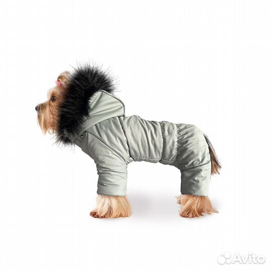 Зимняя одежда для собак