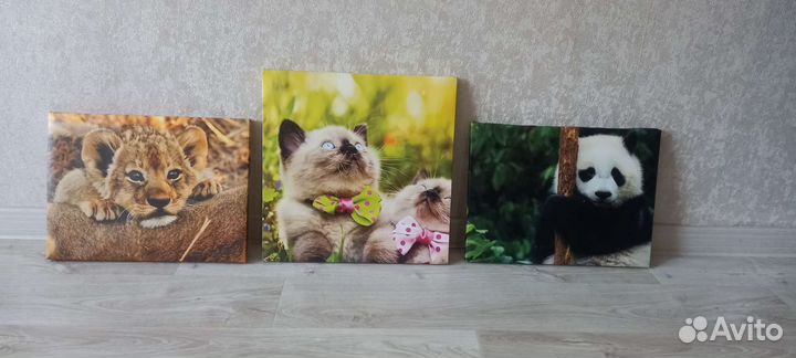 Картина печать на холсте