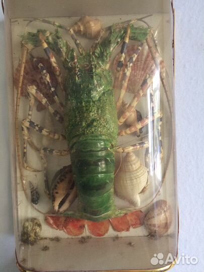 Раки декораивные изделие