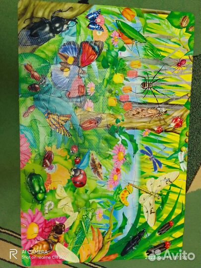 Пазлы большие