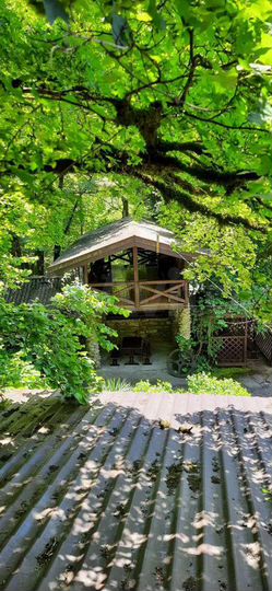 Дом 80 м² на участке 7 сот.