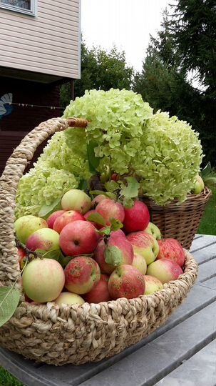 Дача 110 м² на участке 12 сот.