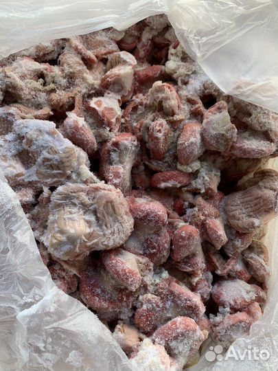 Индейка субпродукты в ассортименте