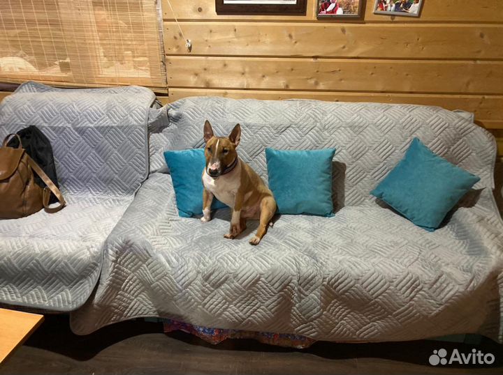 Комплект Наборы на диван и кресла со спинкой victo