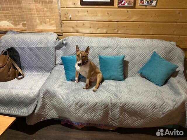 Комплект Наборы на диван и кресла со спинкой victo