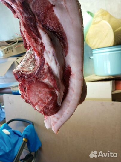 Мясо свинина домашняя