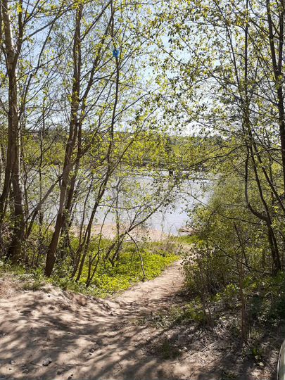 Участок 10 сот. (СНТ, ДНП)