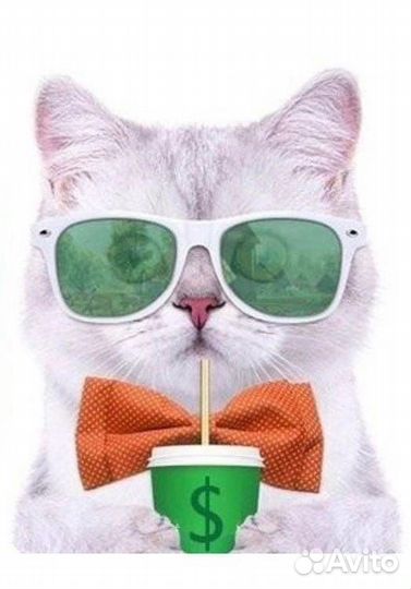 Продавец консультант