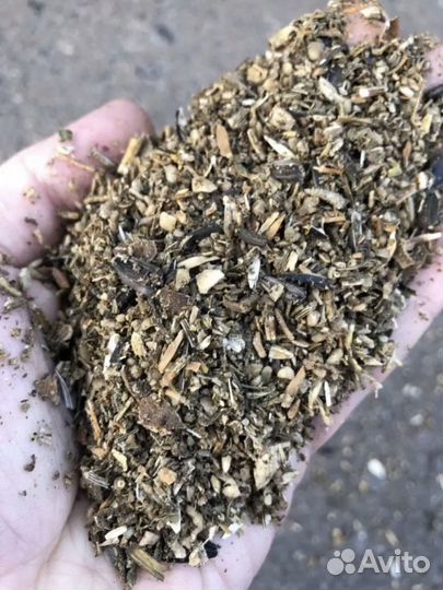 Отход из под семечки