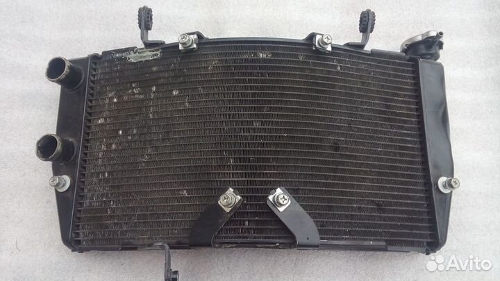 Ducati 1098 радиатор водяной