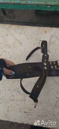 Шлейка для средней собаки