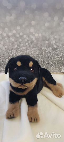 Ротвейлер игрушка