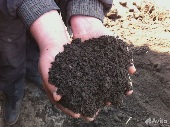 Пескогрунт