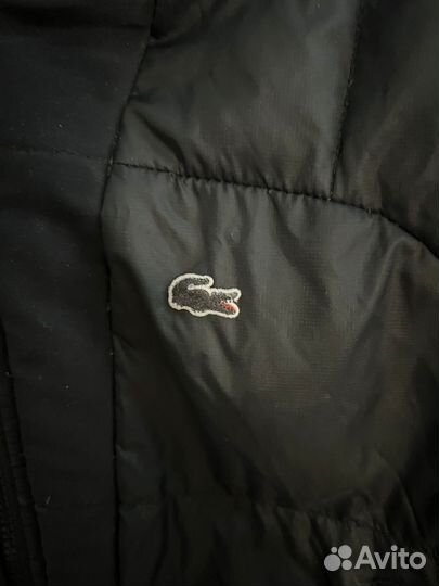 Пуховик lacoste
