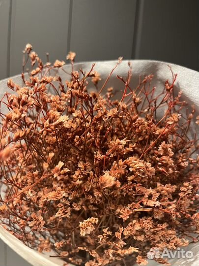 Лимониум сухоцвет стабилизированный персиковый