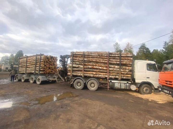 Дрова с доставкой