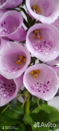 Наперстянка ручной работы из фоамирана