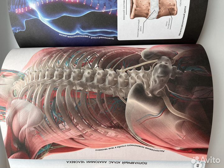 Атлас анатомии человека