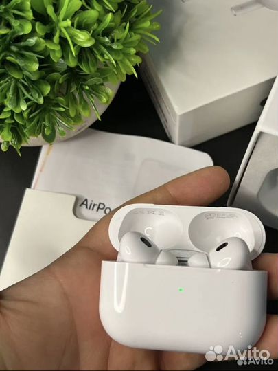 AirPods Pro 2 Gen Type-c (чехол в подарок )