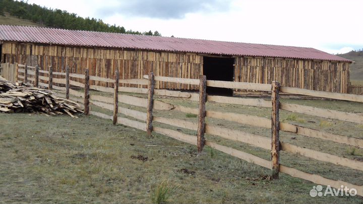 Фермерское хозяйство