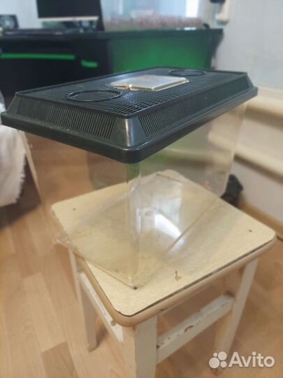 Новый террариум