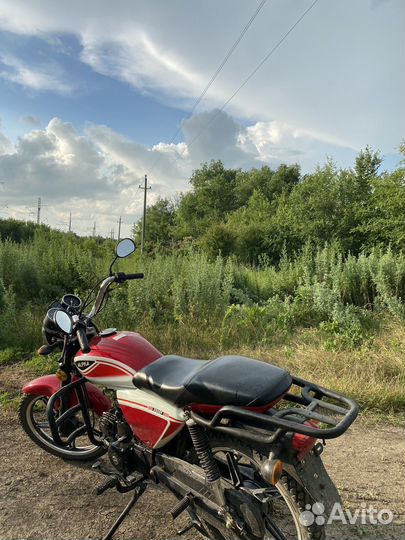 Alpha RX