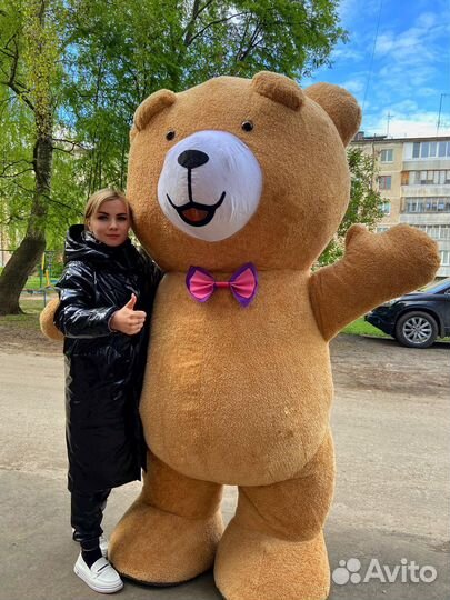 Ростовой медведь