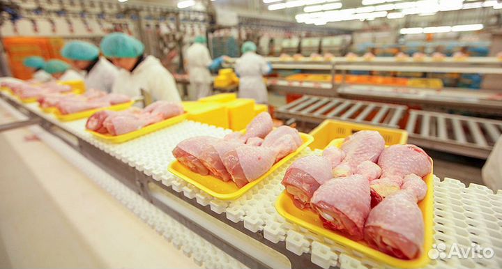 Фасовщик на птицефабрику Тамбовская область