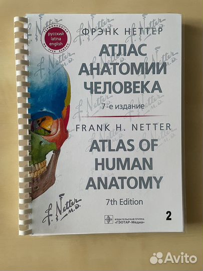 Атлас анатомии человека Фрэнка Неттера
