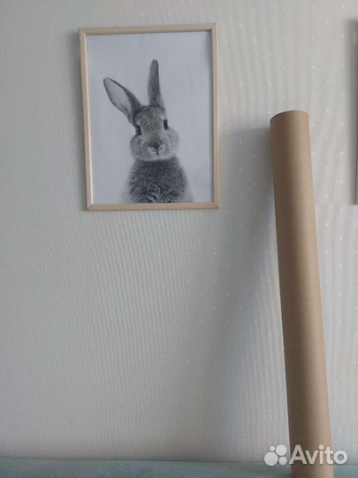 Постеры 30см 40 см