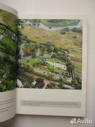 Марченко А.М. Декоративные гибридные ивы том 1