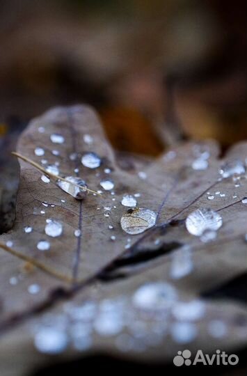 Объектив 7artisans 60mm Fuji X