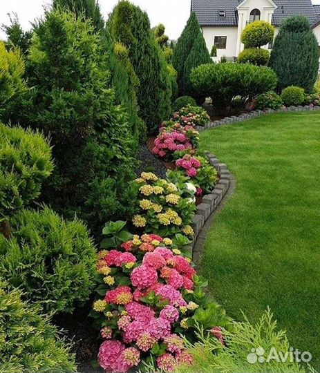 Озеленение и благоустройство