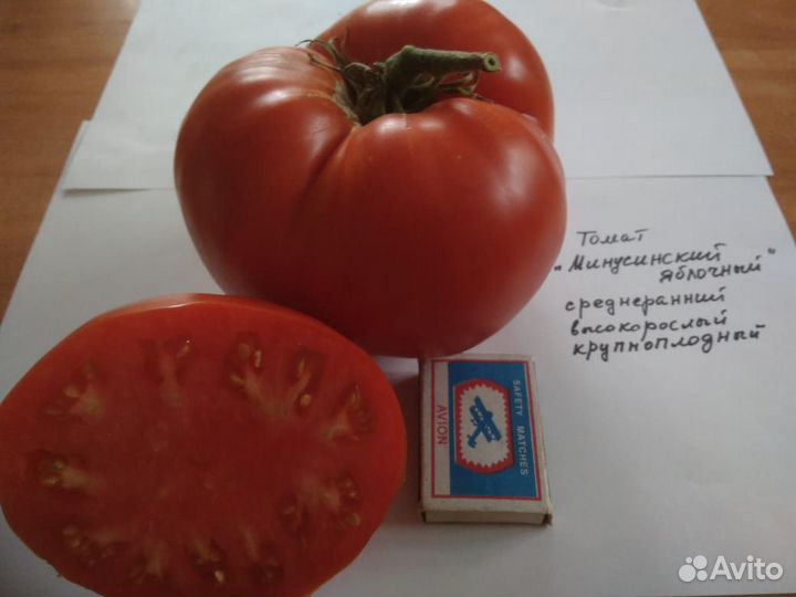 Семена томатов (сортовые)